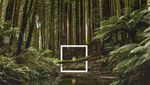 2020 Environmental Sustainability Report - A Year of Action