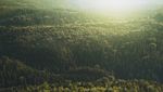 2020 Environmental Sustainability Report - A Year of Action