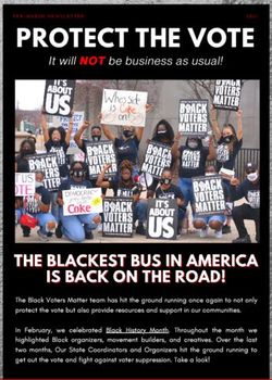 PROTECT THE VOTE - Black Voters Matter
