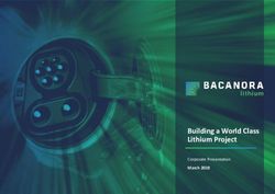 Building a World Class Lithium Project - March 2019 Corporate Presentation - Bacanora Lithium