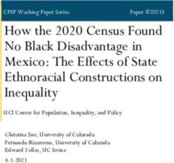 How the 2020 Census Found No Black Disadvantage in Mexico: The Effects of State Ethnoracial Constructions on Inequality