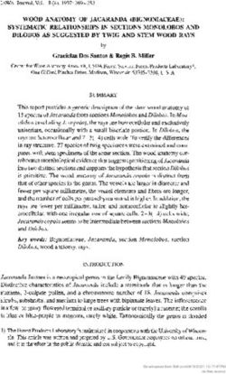 WOOD ANATOMY OF JACARANDA (BIGNONIACEAE): SYSTEMATIC RELATIONSHIPS IN SECTIONS MONOLOBOS AND DILOBOS AS SUGGESTED BY TWIG AND STEM WOOD RAYS - Brill