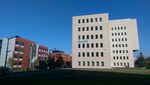 Why is this a good DMP? - Marjan Grootveld and Ellen Leenarts, DANS TUD Seminar "Towards cultural change in data management - data stewardship in ...
