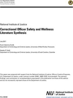 Correctional Officer Safety and Wellness Literature Synthesis