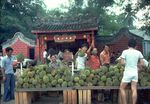 BALESTIER HERITAGE TRAIL - A COMPANION GUIDE - Roots.sg