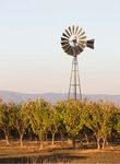 For the love of food DRIVE AROUND THE CENTRAL TABLELANDS OF NSW FOR A TRAIL OF GOURMET TREATS, DELICIOUS WINES AND SOME COUNTRY SIGHTS NOT EASILY ...