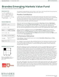 Brandes Emerging Markets Value Fund - Brandes Investment ...