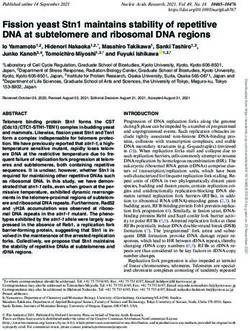 Fission yeast Stn1 maintains stability of repetitive DNA at subtelomere and ribosomal DNA regions