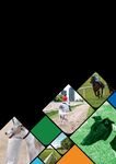Australian Racing and Breeding Industry Sector - Annual Update 2021 IRC Skills Forecast and Proposed Schedule of Work - Skills Impact