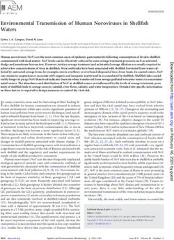 Environmental Transmission of Human Noroviruses in Shellfish Waters