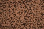 EVALUATION OF THE CORROSION BEHAVIOR OF MECHANICALLY IMPROVED MILD STEEL SURFACE DESIGNED FOR MARINE APPLICATION