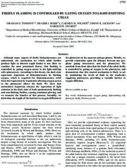 FIREFLY FLASHING IS CONTROLLED BY GATING OXYGEN TO LIGHT-EMITTING CELLS