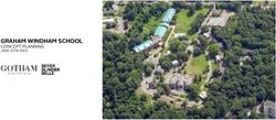 GRAHAM WINDHAM SCHOOL - CONCEPT PLANNING JUNE 15TH 2021 - Village of Hastings-on ...