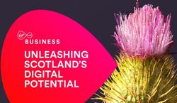 UNLEASHING SCOTLAND'S DIGITAL POTENTIAL - Virgin Media Business