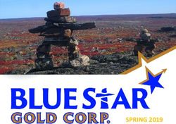 SPRING 2019 - Blue Star Gold Corp.