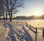 MERRY CHRISTMAS & HAPPY NEW YEAR! - READY, SET, REJOICE! Online at SandyPines.com, Facebook & Instagram - Sandy Pines