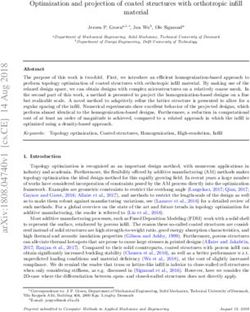 Optimization and projection of coated structures with orthotropic infill material