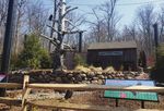 New Eagle Exhibit Soars at Essex County Turtle Back Zoo
