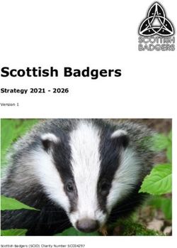 Scottish Badgers Strategy 2021 2026