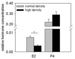 A TISSUE CULTURE MODEL OF ESTROGEN-PRODUCING PRIMARY BOVINE GRANULOSA CELLS - JOVE