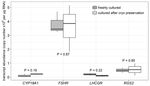 A TISSUE CULTURE MODEL OF ESTROGEN-PRODUCING PRIMARY BOVINE GRANULOSA CELLS - JOVE
