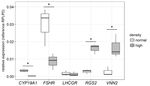 A TISSUE CULTURE MODEL OF ESTROGEN-PRODUCING PRIMARY BOVINE GRANULOSA CELLS - JOVE