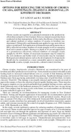 OPTIONS FOR REDUCING THE NUMBER OF CHORUS CICADA, AMPHIPSALTA ZELANDICA (BOISDUVAL), IN KIWIFRUIT ORCHARDS