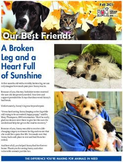 A Broken Leg and a Heart Full of Sunshine - Ottawa Humane ...