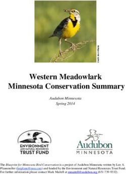 Western Meadowlark Minnesota Conservation Summary