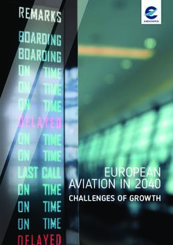 EUROPEAN AVIATION IN 2040 - CHALLENGES OF GROWTH - Eurocontrol