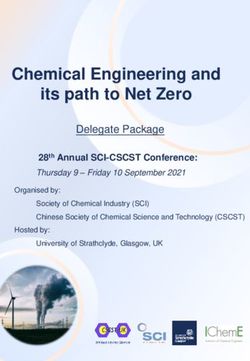 Chemical Engineering and its path to Net Zero - University of ...
