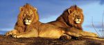 Ri - AFRICAN GOLF COLLAGE WITH ROVOS RAIL 2019 15MAY-24MAY 2020 20MAY-29MAY