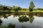 Ri - AFRICAN GOLF COLLAGE WITH ROVOS RAIL 2019 15MAY-24MAY 2020 20MAY-29MAY