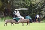 Ri - AFRICAN GOLF COLLAGE WITH ROVOS RAIL 2019 15MAY-24MAY 2020 20MAY-29MAY