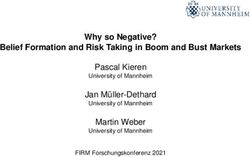 Why so Negative? Belief Formation and Risk Taking in Boom and Bust Markets - Pascal Kieren Jan Müller-Dethard
