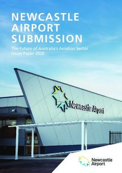 NEWCASTLE AIRPORT SUBMISSION - The Future of Australia's Aviation Sector Issues Paper 2020 - Department of ...