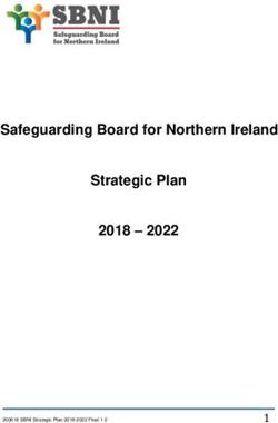 Safeguarding Board for Northern Ireland Strategic Plan 2018 2022