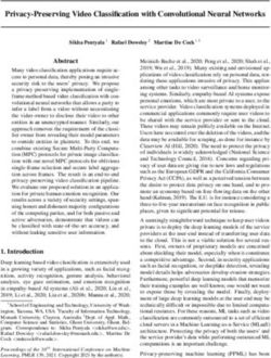 Privacy-Preserving Video Classification with Convolutional Neural Networks