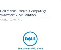 Dell Mobile Clinical Computing VMware View Solution - A Dell Technical White Paper