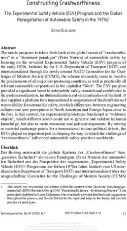 Constructing Crashworthiness - TUM School of Education