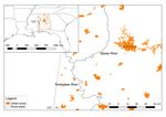 Gut Microbiomes of Freshwater Mussels (Unionidae) Are Taxonomically and Phylogenetically Variable across Years but Remain Functionally Stable