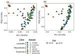 Gut Microbiomes of Freshwater Mussels (Unionidae) Are Taxonomically and Phylogenetically Variable across Years but Remain Functionally Stable