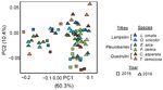 Gut Microbiomes of Freshwater Mussels (Unionidae) Are Taxonomically and Phylogenetically Variable across Years but Remain Functionally Stable