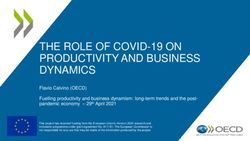 THE ROLE OF COVID-19 ON PRODUCTIVITY AND BUSINESS DYNAMICS