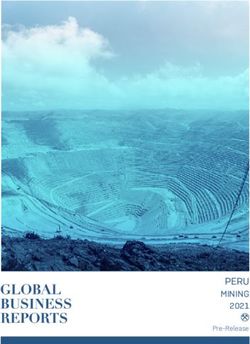 PERU MINING 2021 Pre-Release - Global Business Reports