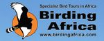 Karoo Mammals and Birds - 11-17 March 2021 - Birding Africa