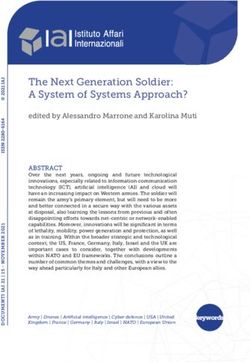 The Next Generation Soldier: A System of Systems Approach?