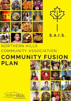 COMMUNITY FUSION PLAN - NORTHERN HILLS COMMUNITY ASSOCIATION: Northern Hills Community ...