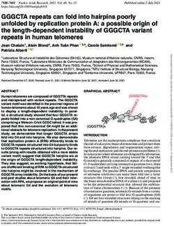 GGGCTA repeats can fold into hairpins poorly unfolded by replication protein A: a possible origin of the length-dependent instability of GGGCTA ...