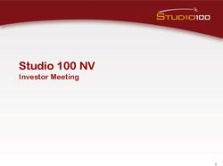 Studio 100 NV Investor Meeting